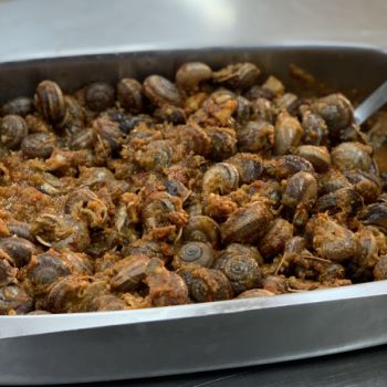 00b2a92f 7e2d 4c10 958f 720618749bb9 00b2a92f 7e2d 4c10 958f 720618749bb9